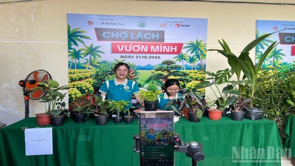 Khai mạc sự kiện livestream “Cộng đồng Chợ Lách vươn mình”