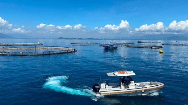 Khai mở không gian phát triển mới
