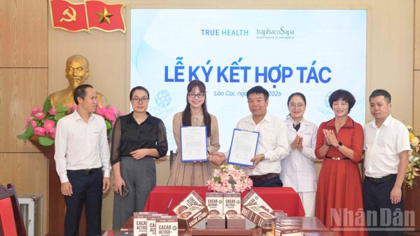 Khai thác thế mạnh để phát triển nguồn dược liệu ở Lào Cai