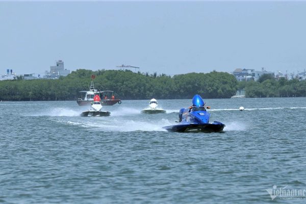 Khám phá di sản thiên nhiên Đầm Thị Nại qua góc nhìn khoa học, nghệ thuật