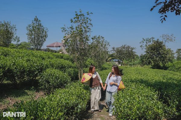 Khám phá một ngày ở Thái Nguyên bằng tàu hoả