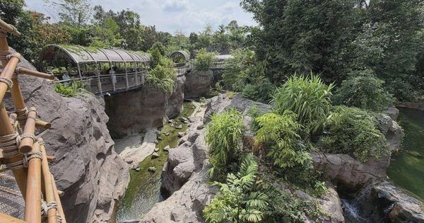 Khám phá những lý do mới để trở lại Singapore