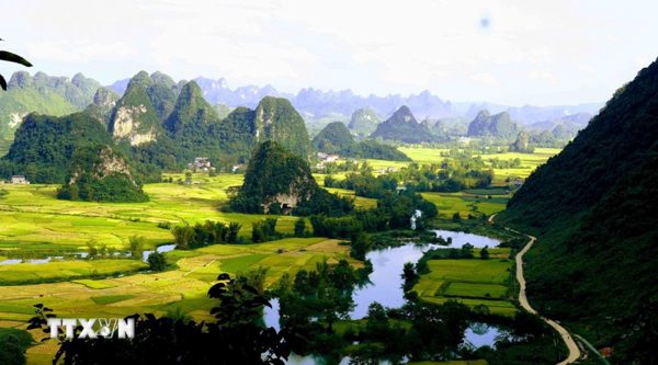 Khám phá vẻ đẹp mùa vàng của thung lũng Ngọc Côn tại Cao Bằng