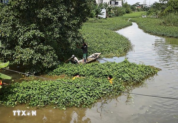 Khẩn trương khơi thông dòng chảy, tiêu thoát nước sau mưa lũ