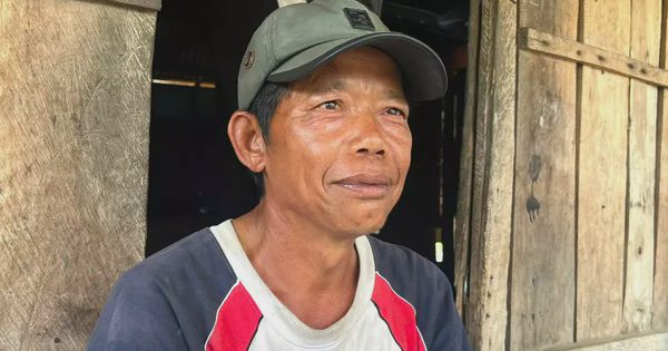 Khẩn trương xác minh vụ không biết chữ nhưng ‘đứng đơn’ xin 60 ha đất trồng rừng