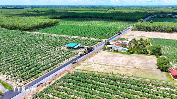 Khánh Hòa định hướng phát triển kinh tế tập thể theo hướng hiệu quả, bền vững