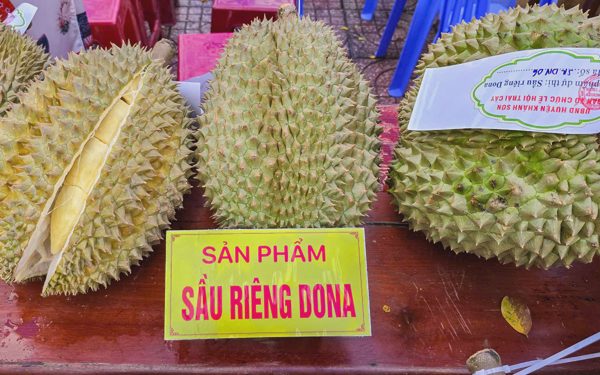 Khánh Hòa giao công an điều tra, xử lý giả mạo mã số vùng trồng sầu riêng