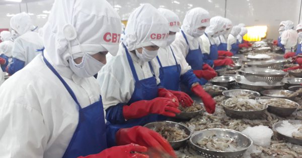 Khánh Hòa mở rộng mạng lưới an sinh xã hội