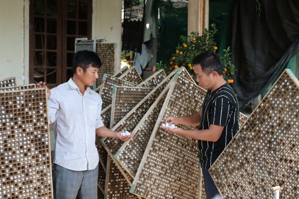 Khát vọng hồi sinh nghề xưa của người trẻ Quảng Ngãi