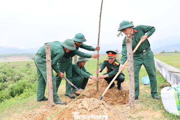 Khi người lính về làng, cùng dân dựng màu xanh