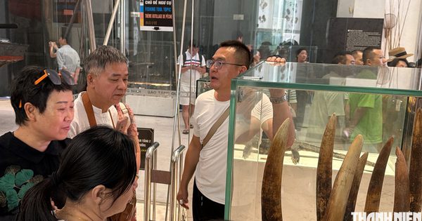 Khoảng trống nào để người Trung Quốc 'cầm đoàn', điểm shopping khép kín hoạt động?