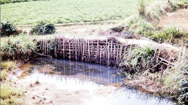 Khoanh vùng tìm mộ tập thể liệt sĩ