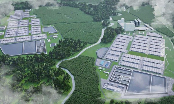 Khởi công tổ hợp chăn nuôi hơn 3.600 tỷ đồng ở Gia Lai
