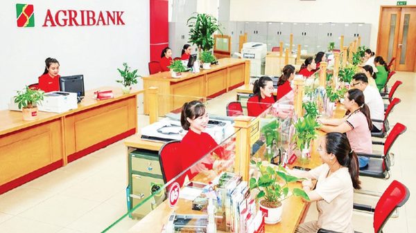 Khơi dòng vốn xanh, chia sẻ với nguồn lực ngân hàng