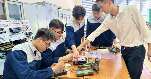 Khối ngành dẫn đầu quy mô đại học liên tục 4 năm