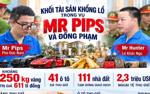 Khối tài sản 'gây choáng' trong vụ Mr Pips: 250kg vàng trị giá 611 tỉ, dàn siêu xe và 111 nhà đất