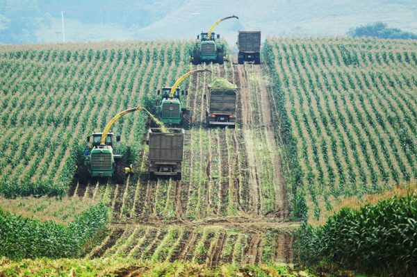 Khơi thông dòng vốn xanh: Nâng cao năng lực thực thi cho doanh nghiệp