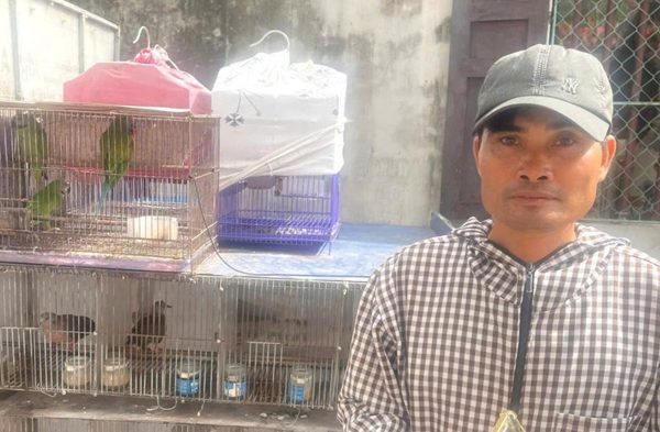 Khởi tố người đàn ông mua bán 36 con chim hoang dã ở Ninh Bình