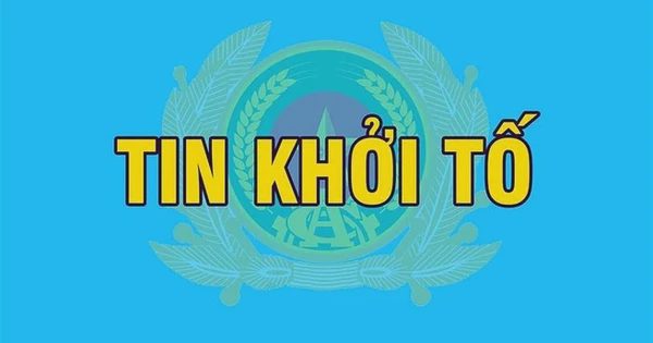 Khởi tố phó tổng giám đốc công ty vận tải biển về tội trộm cắp tài sản