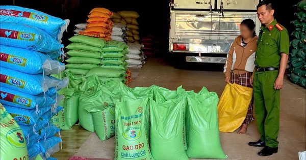 Khởi tố vợ chồng sản xuất, buôn bán gạo giả ở Gia Lai