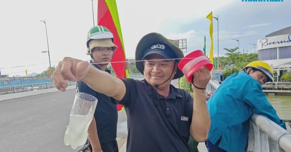 Không cần lưỡi câu, người dân Quy Nhơn bắt cá đối bằng chai nhựa thế nào?