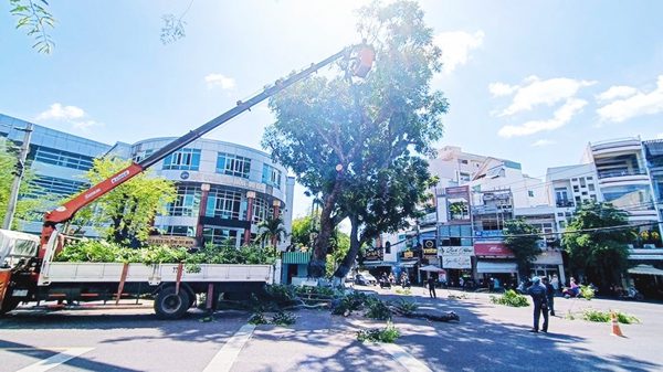 Không để bị động trước mùa mưa bão
