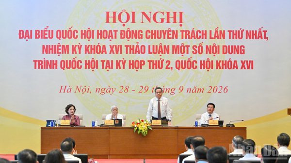 Không để gỡ một điểm nghẽn ở luật này lại tạo thêm một điểm nghẽn ở luật khác