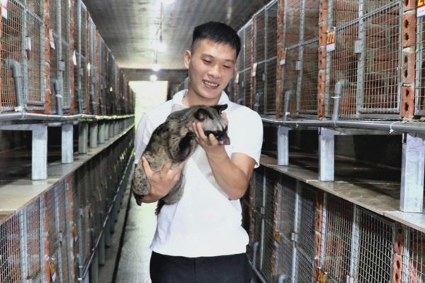 Không đi nước ngoài, chàng trai kiếm nửa tỷ đồng/năm từ đất quê vườn nhà