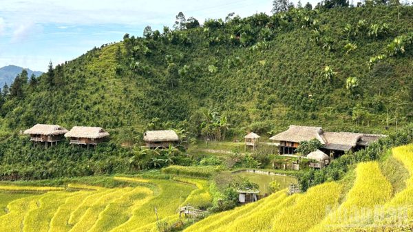 Không gian quảng bá, kết nối sản phẩm OCOP gắn với du lịch cấp vùng tại tỉnh Lào Cai năm 2026