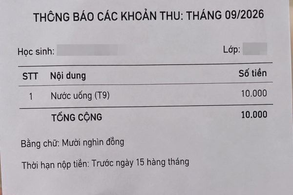 Không học môn liên kết, phụ huynh “sốc” khi phiếu thu tiền chỉ 10.000/tháng