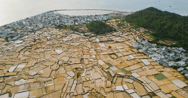 Không phải Sa Pa, Việt Nam có một nơi giữa biển cũng xuất hiện những thửa "ruộng bậc thang", bờ ruộng làm từ đá núi lửa