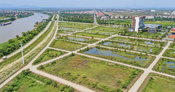 Khu ‘đất vàng’ bỏ hoang nhiều năm ở Ninh Bình sắp được đấu giá có gì đặc biệt?