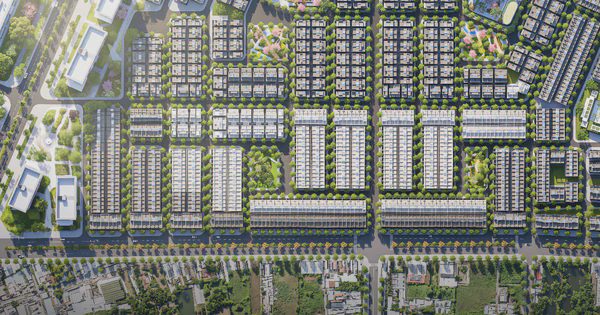 Khu nhà ở thấp tầng số 8 Đông Tăng Long nguồn cung chọn lọc phía Đông TP HCM