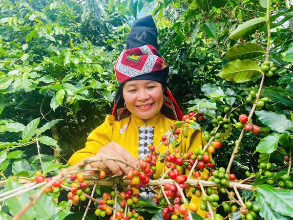 Khuyến công đang góp phần giúp nông thôn Sơn La bứt phá