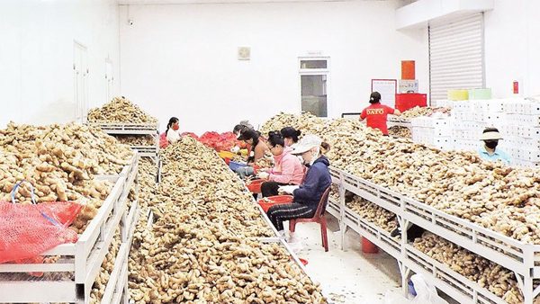 Khuyến khích ứng dụng khoa học-công nghệ vào chuỗi tiêu thụ nông sản