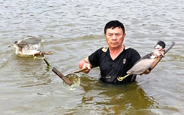 Kiểm lâm Thanh Hóa xử lý nạn đặt bẫy, giăng lưới bắt chim trời, giải cứu cả ngàn cá thể