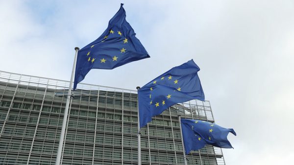 Kiểm soát chặt hàng vào EU