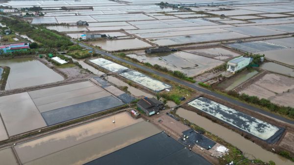 Kiến nghị chuyển hồ sơ sang công an vụ cho thuê đất công ở Cà Mau