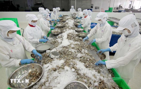 Kinh tế 9 tháng năm 2026 "tăng tốc" ấn tượng