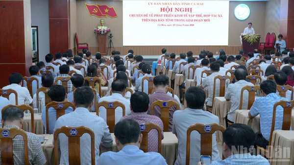 Kinh tế tập thể Cà Mau trước yêu cầu làm mới chính mình