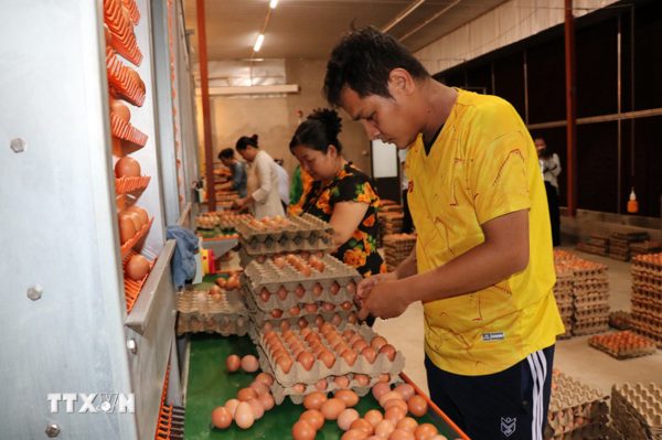Kinh tế tư nhân của tỉnh Vĩnh Long trước cơ hội phát triển mới