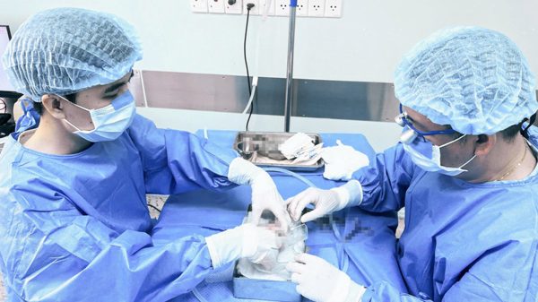 Kỷ lục mới về bảo quản thận ghép xuyên Việt