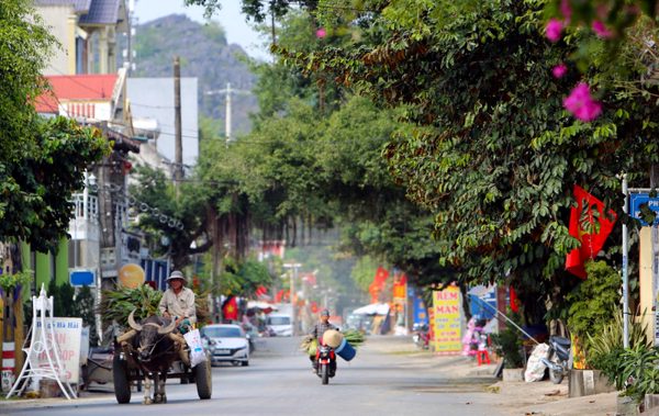 Lại chuyện làng lên phố