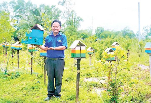 Làm 'biệt thự' cho ong dú