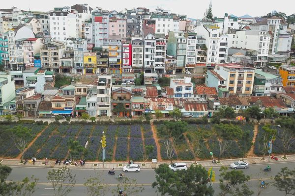 Lâm Đồng ban hành quy định mới về cấp phép xây dựng