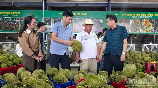 Lâm Đồng: Chia sẻ thực tiễn về quản lý vùng trồng hướng đến mở rộng thị trường xuất khẩu nông sản