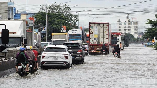 Lâm Đồng chủ động ứng phó mưa lũ