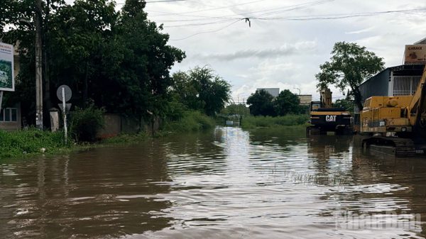 Lâm Đồng có hơn 1.800 căn nhà ngập do mưa lớn