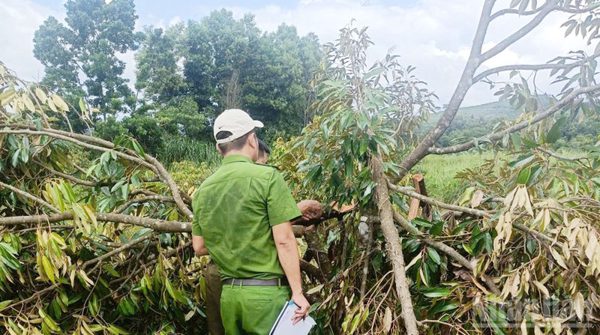 Lâm Đồng: Điều tra vụ cố ý gây thương tích tại xã biên giới Quảng Trực