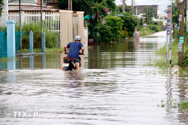 Lâm Đồng: Hơn 300ha cây trồng bị ngập úng, nhiều hộ dân, du khách phải sơ tán